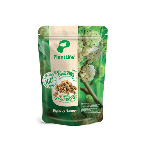 PlantLife Dried White Mulberries Organic
